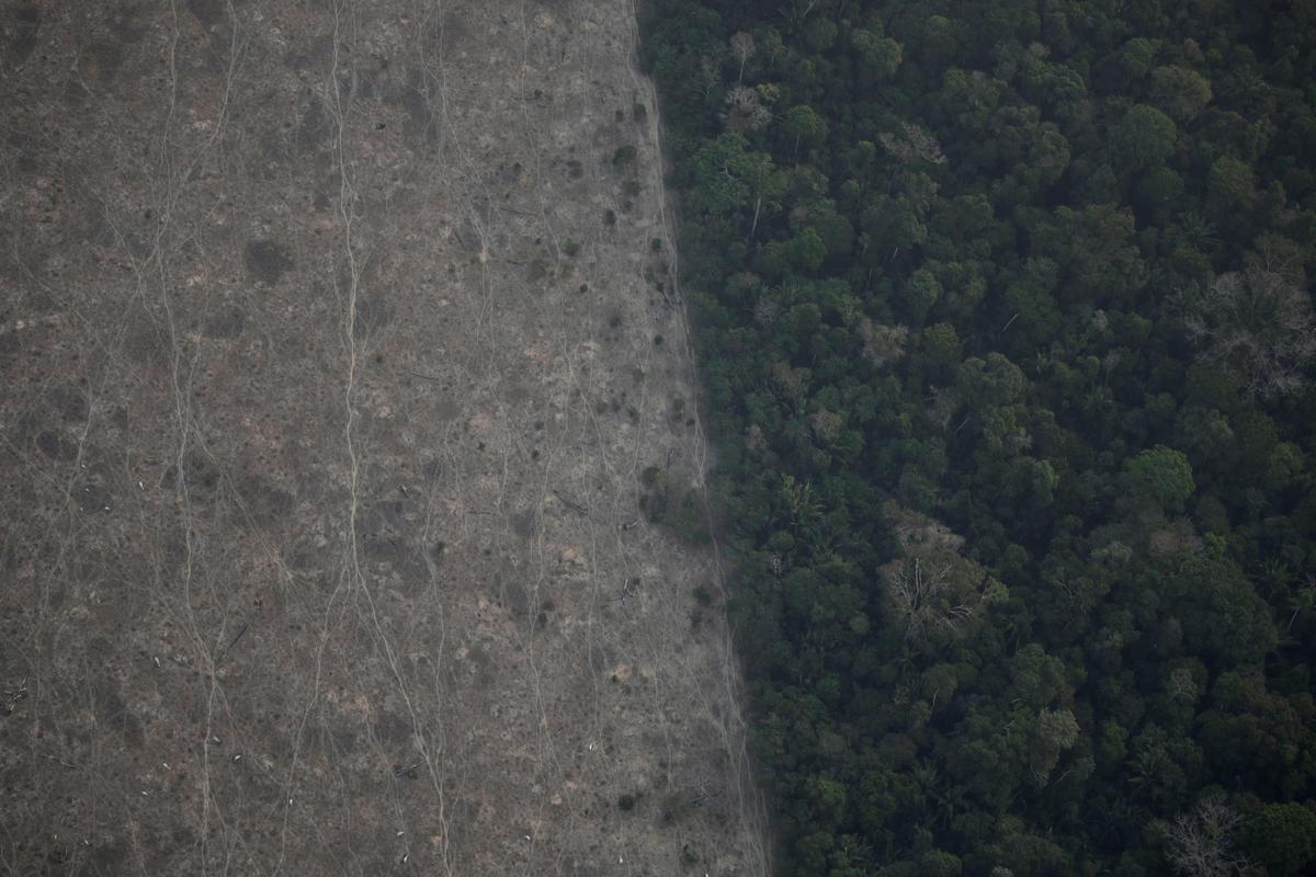 Bolsonaro says Brazil lacks resources to fight Amazon fires